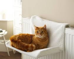 Panier Chat Radiateur: Confort et Chaleur pour Votre Félin