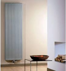 Radiateur Chaude Distributeur Vertical VR101950600 - Efficacité et Élégance