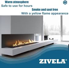 Élégance et chaleur : Cheminée à bioéthanol