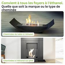 Cheminée Éthanol : Élégance et Confort pour Votre Intérieur