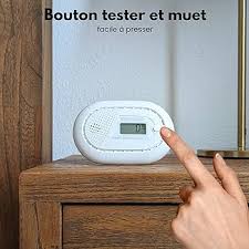 Détecteur de Monoxyde de Carbone : Sécurité Assurée