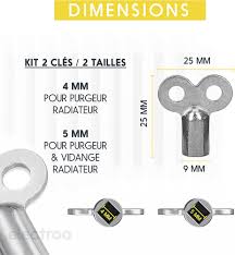 Clé Purge Radiateur Professionnel - Electroo Cle