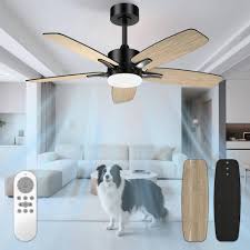 Ventilateur Éclairage Mefine avec Télécommande - Polyvalence et Confort
