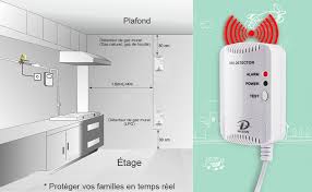 Détecteur de Gaz Avertissement Stroboscopique - Sécurité Maximale